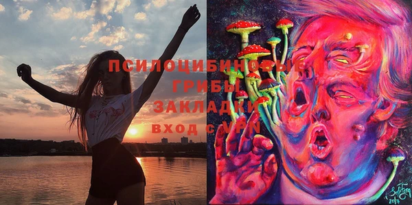 стаф Аркадак