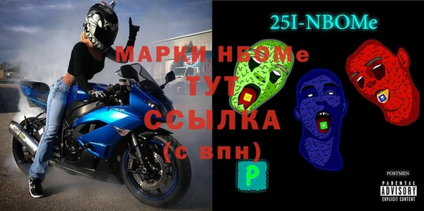 стаф Аркадак